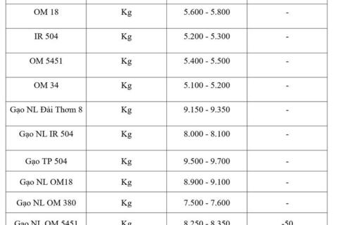 Giá lúa gạo hôm nay ngày 19/3/2026: Gạo xuất khẩu OM 5451 tiếp đà giảm