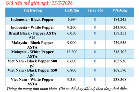 Giá tiêu hôm nay 23/3/2026: Cao nhất 136.000 đồng/kg