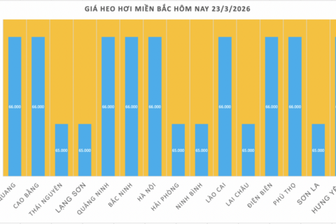 Giá heo hơi hôm nay 23/3/2026: Biến động trái chiều