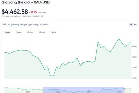 Giá vàng hôm nay (24/3): Giá vàng thế giới có nhịp phục hồi