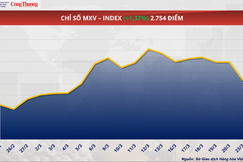 Giá cà phê Arabica vượt 7.000 USD/tấn, áp lực nguồn cung chưa hạ nhiệt