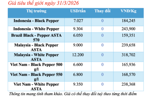 Giá tiêu hôm nay 31/3/2026: Bật tăng từ 500 - 1.000 đồng/kg