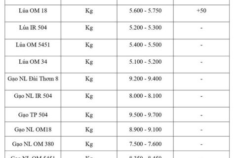 Giá lúa gạo hôm nay ngày 1/4: Đài Thơm 8 tăng nhẹ