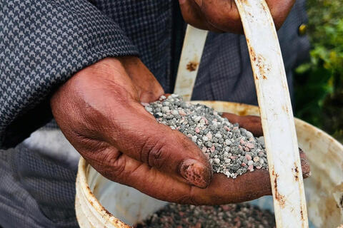 Căng thẳng ở Trung Đông đẩy giá lương thực toàn cầu tăng cao