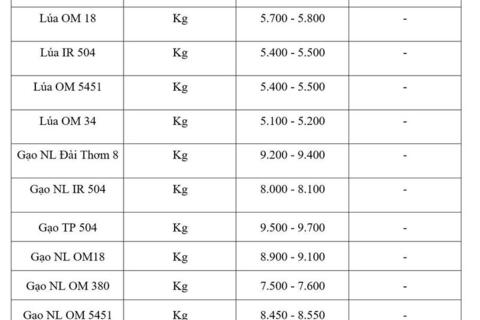 Giá lúa gạo hôm nay ngày 6/4: Gạo thường tăng 1.000 đồng/kg