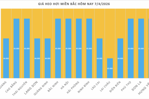 Giá heo hơi hôm nay 7/4/2026: Tăng nhẹ vài nơi