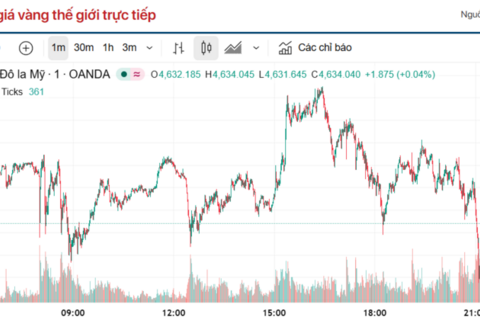 Giá vàng hôm nay (8/4): Vàng miếng SJC, vàng miếng đồng loạt giảm