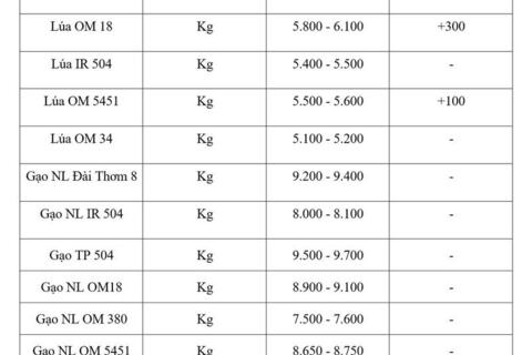 Giá lúa gạo hôm nay ngày 8/4: Lúa tươi tăng giá