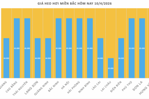 Giá heo hơi hôm nay 10/4/2026: Giữ đà bình ổn