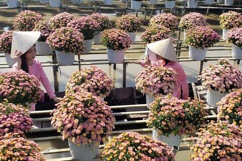 Đồng Tháp: Đặt mục tiêu đón 8 triệu lượt khách du lịch trong năm 2026