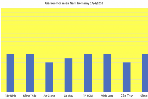 Giá heo hơi hôm nay 17/4/2026: Đi ngang trên cả nước