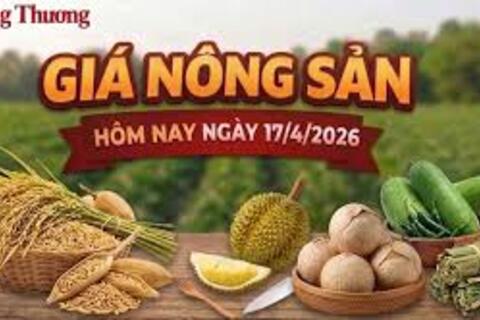 Giá nông sản hôm nay 17/4/2026: Đồng loạt giảm sâu