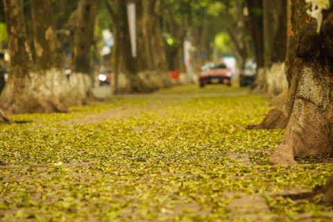 Thời tiết hôm nay (20-4): Bắc Bộ mưa rào, Nam Bộ ngày nắng nóng