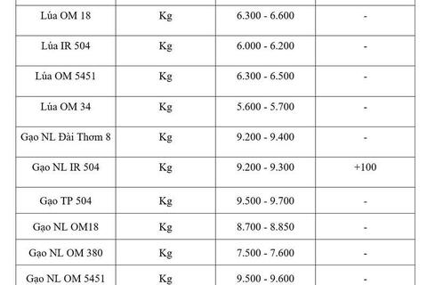 Giá lúa gạo hôm nay ngày 15/7/2026: Gạo nguyên liệu xuất khẩu tăng nhẹ