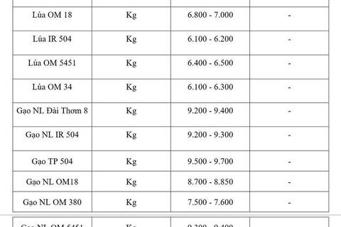Giá lúa gạo hôm nay ngày 20/7/2026: Gạo nguyên liệu xuất khẩu tăng