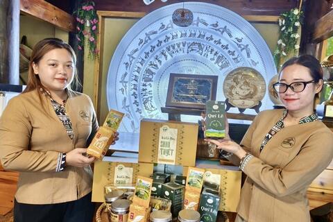 Phú Thọ: Xây dựng thương hiệu và mở rộng thị trường sản phẩm OCOP