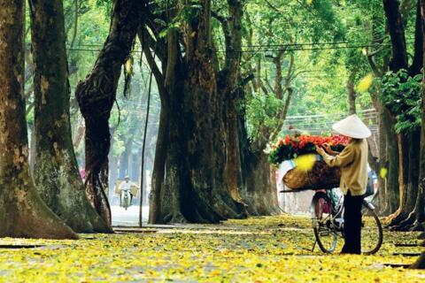 Thời tiết hôm nay (13-10): Bắc Bộ ngày nắng, miền Trung và Nam Bộ có mưa dông