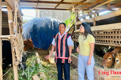 Gia Lai phát huy vai trò người uy tín trong đồng bào dân tộc thiểu số