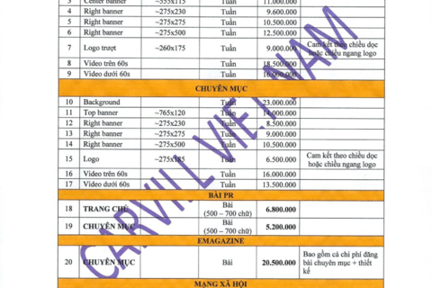 Báo giá website năm 2024