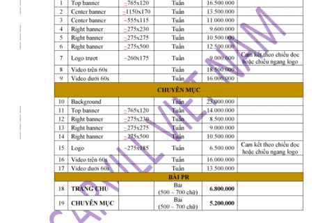 Báo giá website năm 2023