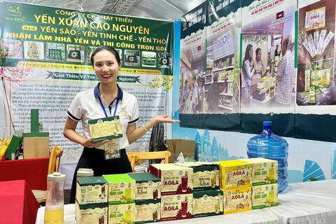 Quý I, sản xuất công nghiệp tỉnh Gia Lai tăng 8,92%