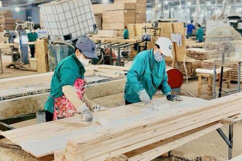 Ngành gỗ Gia Lai: Vượt thách thức, tăng trưởng ấn tượng