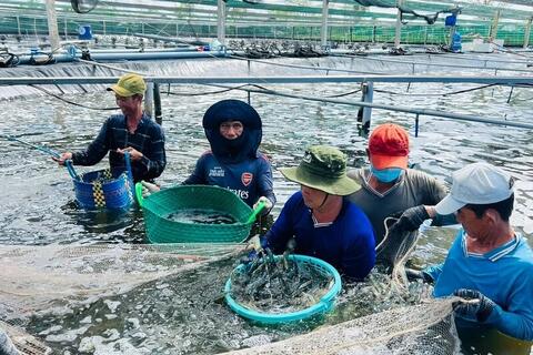 Công nghiệp, thương mại Cà Mau khởi sắc trong nửa đầu năm 2026
