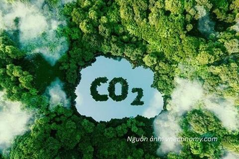 Tín chỉ carbon: Đừng chỉ nhìn vào giá bán