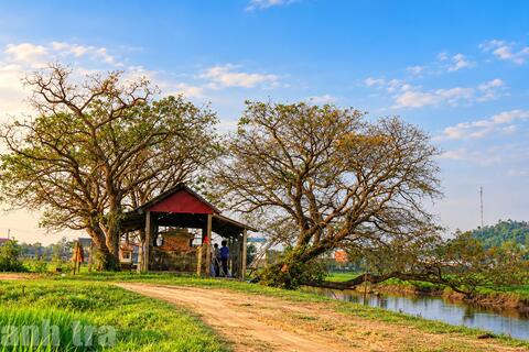 TP Huế: Dấu ấn văn hóa biển giữa làng quê Dã Lê Thượng