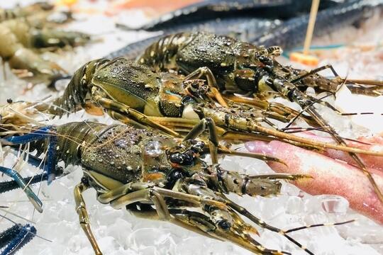 <a href="/doanh-nghiep2" title="Doanh nghiệp" rel="dofollow">Doanh nghiệp</a>