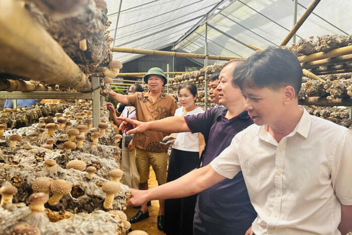 Cao Bằng: Đưa sản phẩm OCOP tiếp cận thị trường lớn hơn