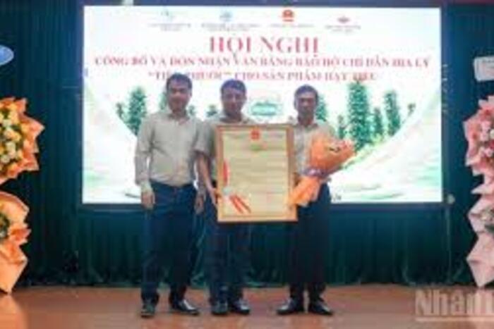  Đà Nẵng đón nhận bảo hộ chỉ dẫn địa lý tiêu 'Tiên Phước'