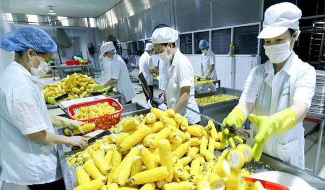 Nợ xấu, chứng khoán, bất động sản: Những lưu ý cho năm 2022  - Ảnh 1.