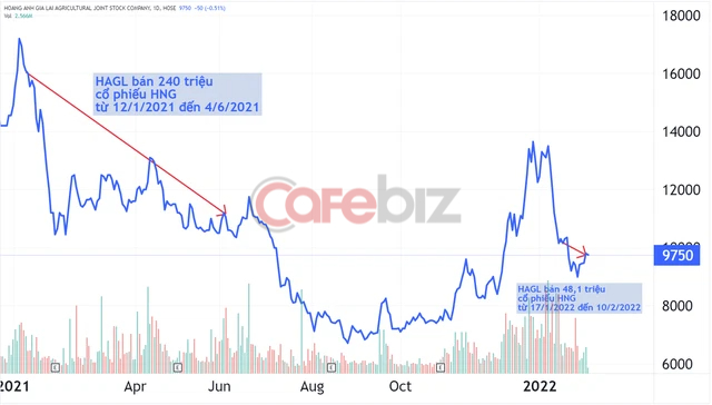 Vừa siết nợ được 450 tỷ đồng, ngân hàng muốn bán tiếp hơn 25 triệu cổ phiếu HAGL Agrico của Hoàng Anh Gia Lai - Ảnh 1.
