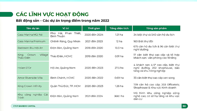 Năm 2022 sẽ bùng nổ IPO của Bamboo Capital: Đưa Nguyễn Hoàng, BCG Land và BCG Energy lên sàn, giá khởi điểm có thể từ 20.000 đồng/cp - Ảnh 5.