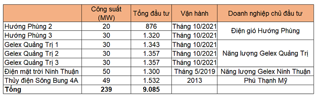 Các công ty thuộc mảng năng lượng tái tạo của Gelex kinh doanh như thế nào? - Ảnh 1.
