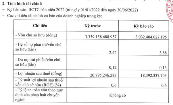 Doanh nghiệp điện của em trai ông Vũ Quang Hội (Bitexco) nợ hơn 8.000 tỷ, lãi 21 tỷ đồng trong 6T2022 - Ảnh 1.