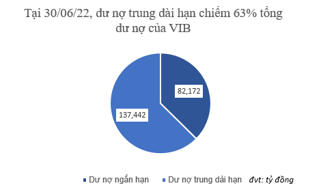 Bán lẻ "khỏe" như VIB: 90% là cho vay cá nhân mua nhà - tậu xe, cứ 100 đồng vốn chủ tạo lãi ròng tới 30 đồng - Ảnh 1.