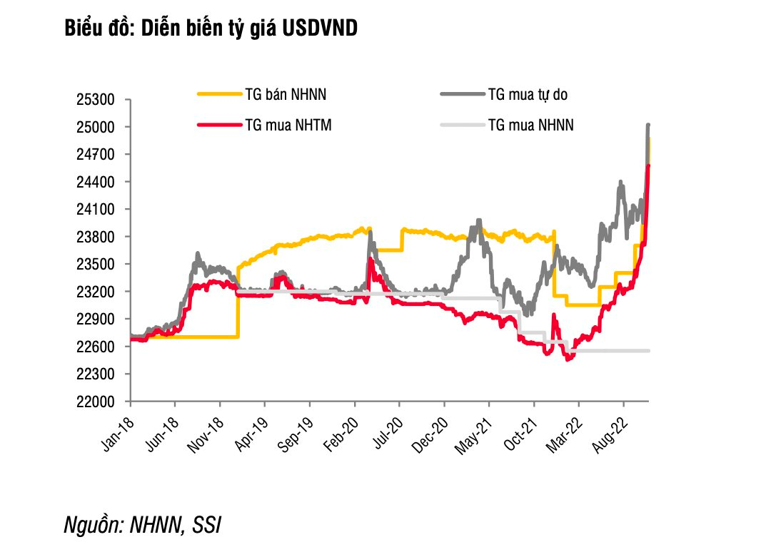 VND mất giá 8,6% từ đầu năm, doanh nghiệp nào hưởng lợi nhất? - Ảnh 1.