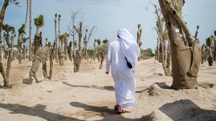 "Quốc gia giàu nhất thế giới" Qatar: tiêu chuẩn đánh giá giàu nghèo, không phải là nhà lầu, xe hơi, mà là xem ai trồng nhiều cây hơn - Ảnh 2.