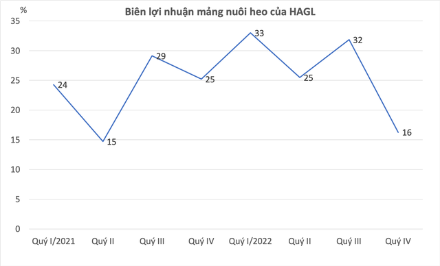 Biên lợi mảng "heo ăn chuối" gần chạm đáy, HAGL sẽ "thoát nạn" như lời bầu Đức từng tuyên bố? - Ảnh 2.