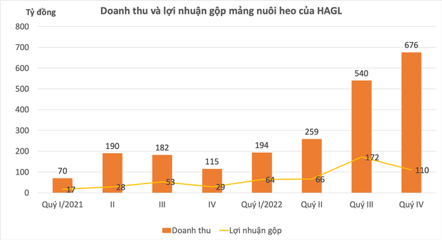 Biên lợi mảng "heo ăn chuối" gần chạm đáy, HAGL sẽ "thoát nạn" như lời bầu Đức từng tuyên bố? - Ảnh 3.