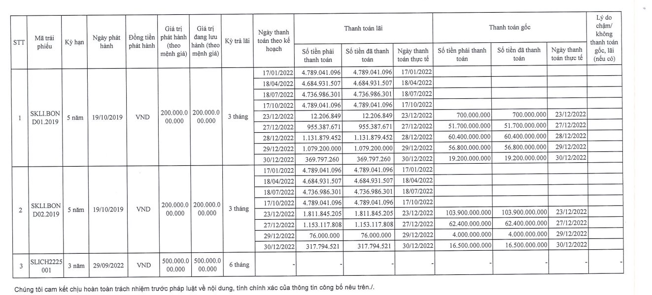 Công ty con của Sơn Kim Land bất ngờ báo lãi trong năm 2022, vốn chủ sở hữu tăng gấp 3,5 lần - Ảnh 3.