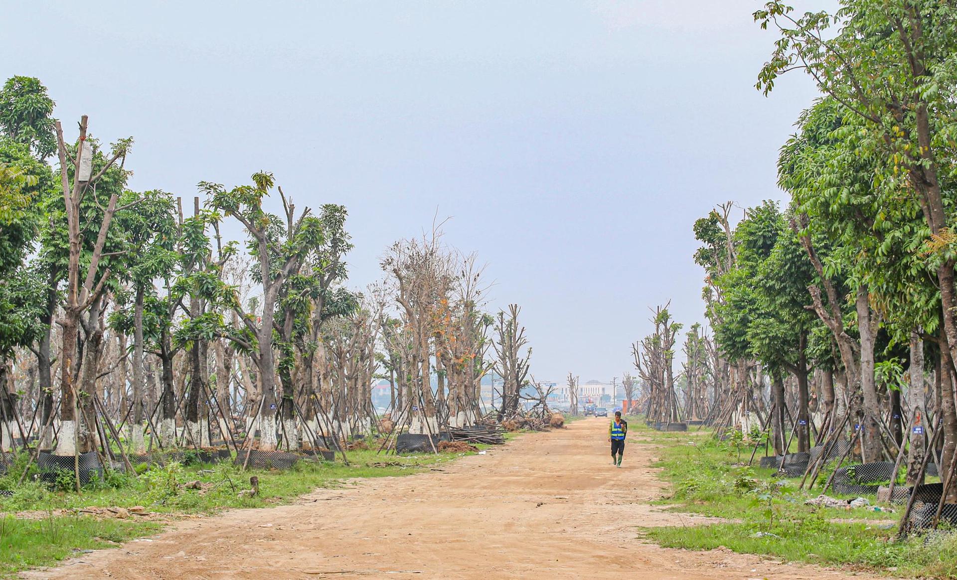 [Photo Essay] Đông Anh chuẩn bị lên quận, giá nhà đất vẫn "im lìm" - Ảnh 6.