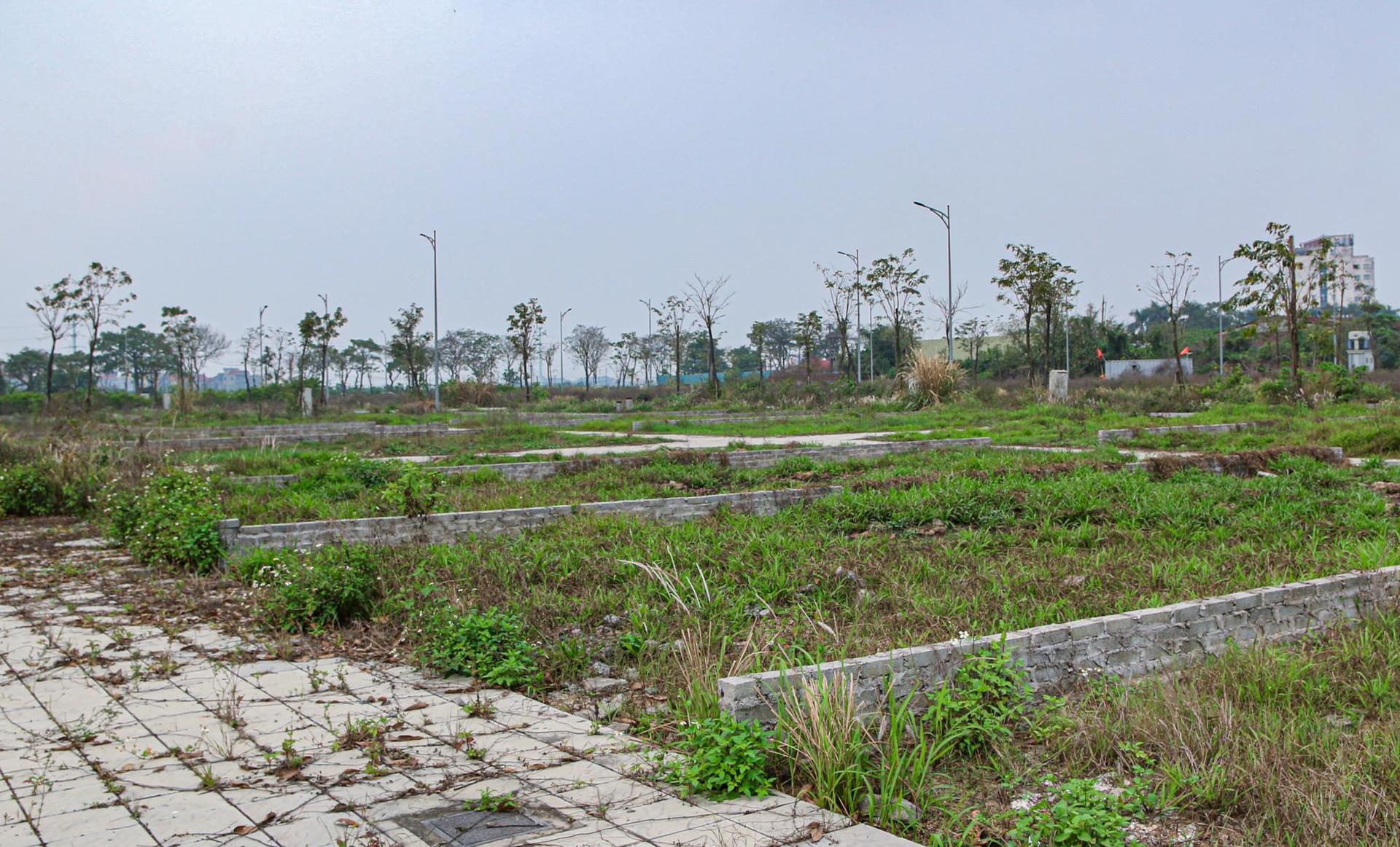 [Photo Essay] Đông Anh chuẩn bị lên quận, giá nhà đất vẫn "im lìm" - Ảnh 8.