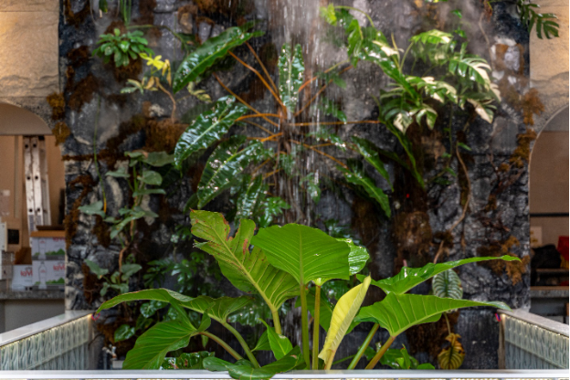 Tropical Waterfall – Không gian mới độc đáo tại Ba Gác Nướng & bia Lê Văn Sỹ - Ảnh 4.