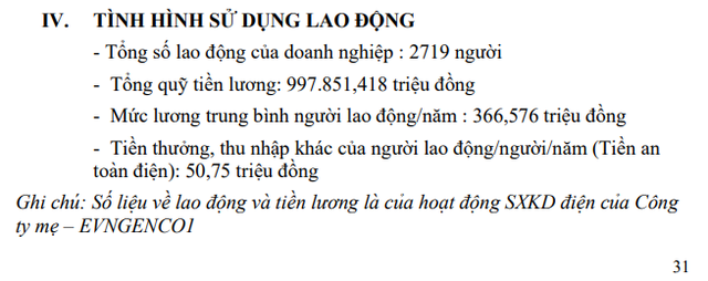 Lãi lớn năm 2022, 1 thành viên của EVN chi nghìn tỷ trả lương thưởng 35 triệu đồng/người/tháng cho gần 3000 nhân viên - Ảnh 2.