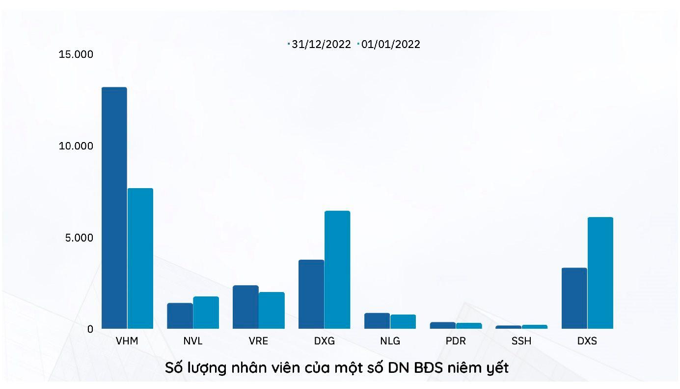 Chủ tịch Hội môi giới Nguyễn Văn Đính: "Một số doanh nghiệp bất động sản chỉ còn trụ được đến quý 2/2023" - Ảnh 7.