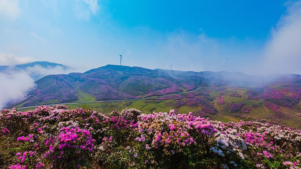 "Thành phố không dùng điều hòa" ở Trung Quốc: Người dân không biết nắng nóng là gì, mùa hè ngủ còn phải đắp chăn - Ảnh 9.