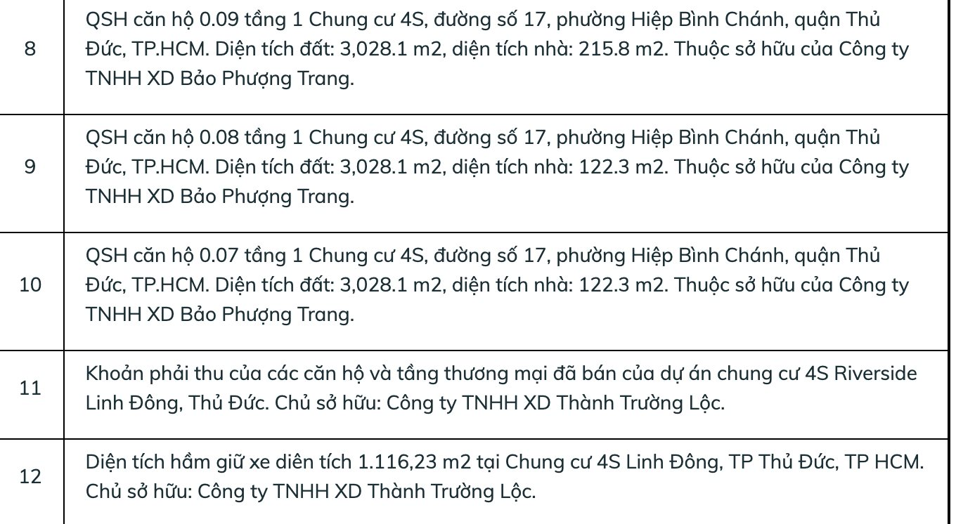 Ngân hàng BIDV rao bán khoản nợ hơn 250 tỷ, bán cả hầm gửi xe một chung cư - Ảnh 3.